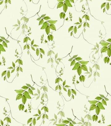 Summer Vine Wallpaper Carleigh Courey Design