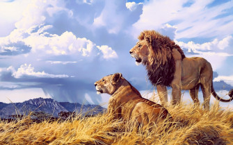 Lion Lioness Artwork 4k HD Wallpaper Image
