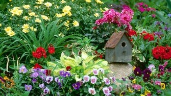 Flower Gardens Wallpaper
