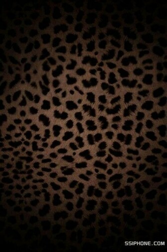Leopard Phone Wallpaper