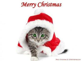 Christmas Kitten Wallpaper With Image