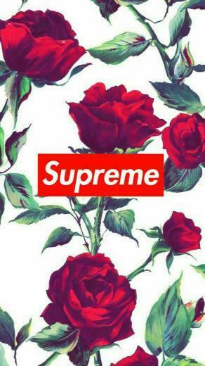 Poppy Hovell On Random Stuff Rose Wallpaper Hypebeast