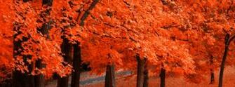 Fall Wallpaper For Computer In HD