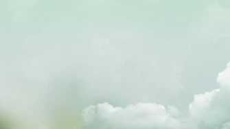 Minimalist Nature Wallpaper