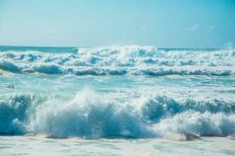 Best Beach Colleges Top Consensus Ranked Schools With Great