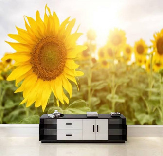 Amazon Wallpaper Wall Mural Field Sunflowers Close Up