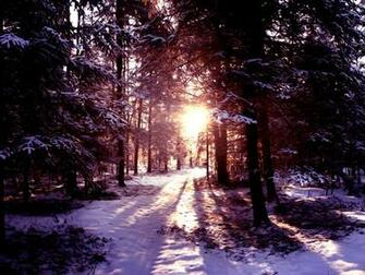 Winter Snow Scene Wallpaper High Definition