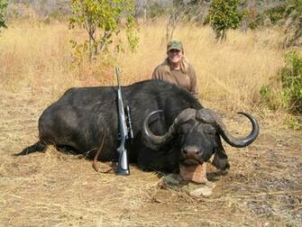 African Buffalo Wallpaper X Net