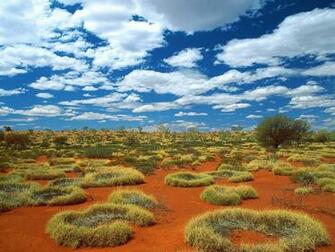 Australian Nature Wallpaper And Image Pictures Photos
