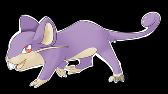 Rattata