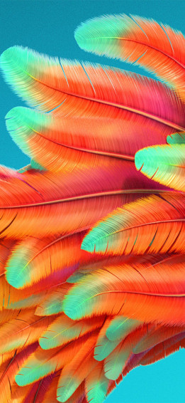 Color iPhone Wallpaper