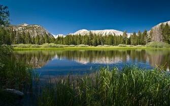 Full HD Nature Background Wallpaper For Laptop Widescreen Beautiful