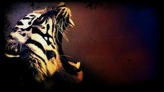 Similar Cool Tiger Picture Wallpaper Small Dogs With Image
