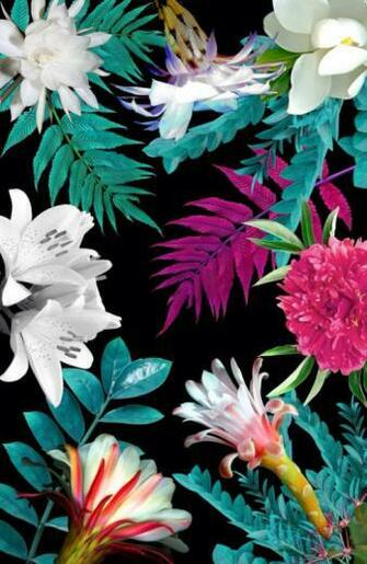 Tropical Wallpaper