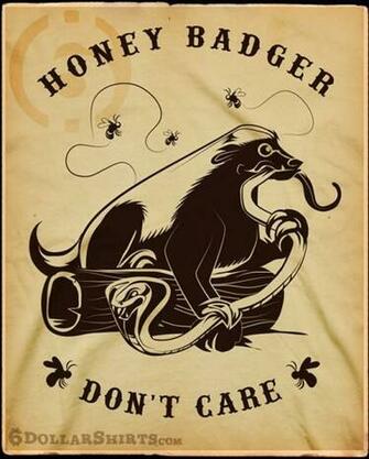 Honey Badger Wallpaper Animalgals