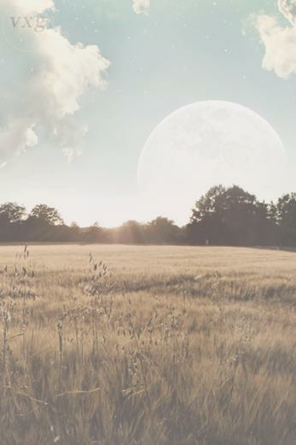 iPhone 4s Background