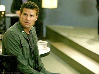 David Boreanaz Wallpaper