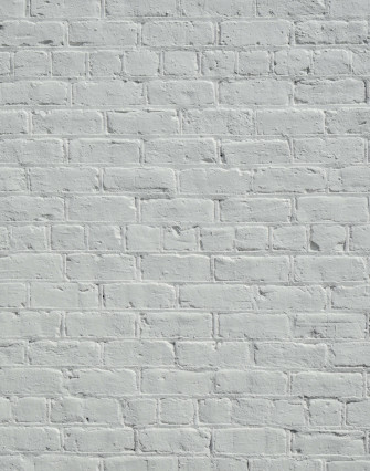 White Wall Background Wallpaper