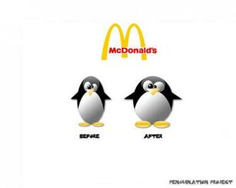 Funny Quotes Wallpaper Image Cute So