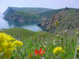 Ukrainian Wallpaper Europe