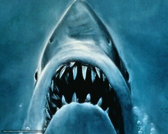 Wallpaper Jaws Film Movies Desktop In