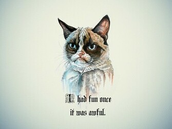 Grumpy Cat HD Wallpaper I Had Fun Once It Was Awful