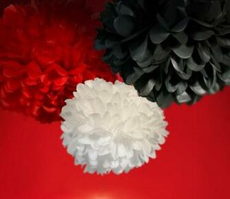 Best Pom Poms Black Background