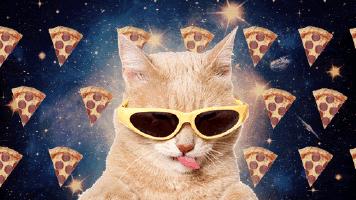 Stop What You Re Doing Today Is Pizza Party Day
