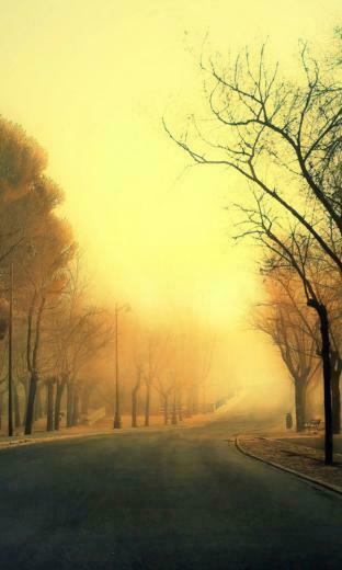 Elegant Windows Phone Autumn Wallpaper All About Natural Beauty
