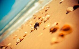Beach Sands Stones Kde Store