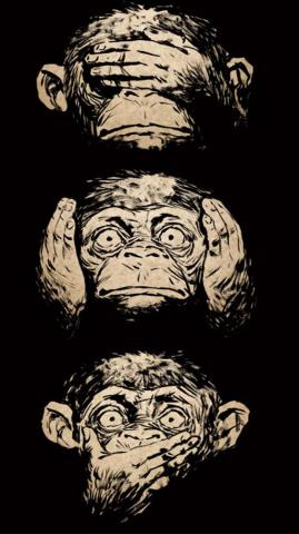 Monkey Faces Wallpaper For Your Phone