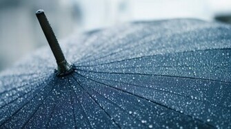 Raindrops Wallpaper