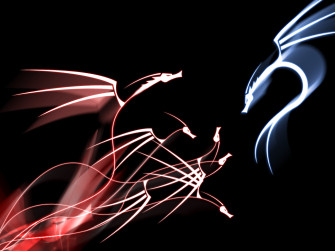 Draak Wallpaper