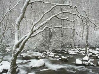 Smoky Mountain Wallpaper