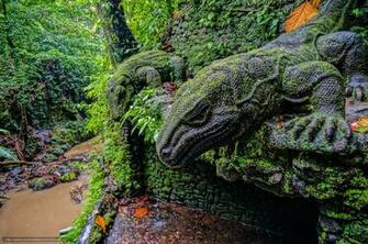 Wallpaper Ubud Monkey Forest Bali High