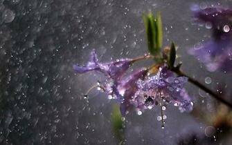 Desktop Fun Rainy Days Wallpaper Collection Series