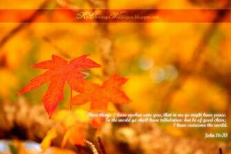 King James Kjb Versed Christian Wallpaper John