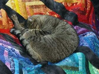 Rick Mcguire Quilt Nerd Braids Barn Windows And Buster The Cat