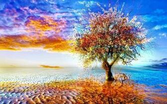 Beautiful Trees HD Wallpaper For Desktop Mobile