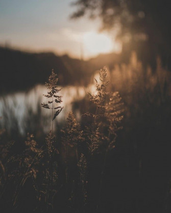 7e2f75d09d9b1bdd2666601390c6db1b Wallpaper