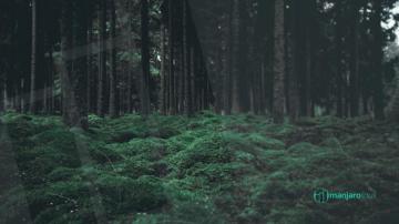Xfce Wallpaper Contest