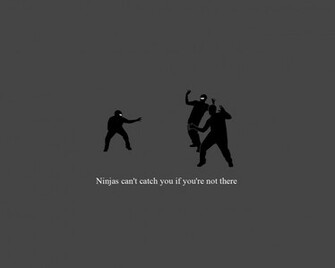 Funny Ninjas Wallpaper Cant Catch You If