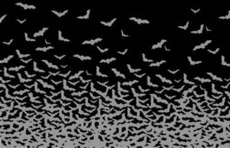 Wallpaper Desk Top Bats From Blank