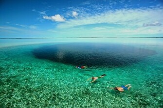 Scuba Diving Wallpaper Dive Tenerife