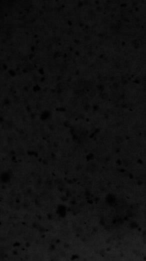 Black Texture iPhone Wallpaper HD
