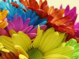Very Beautiful Flowers Pictures For Wallpaper X Y D Ng
