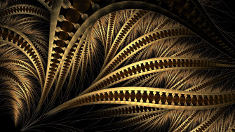 Brown HD Wallpaper And