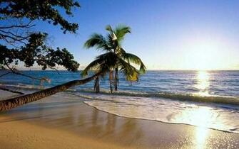 The Best Beach Background Wallpaper Of