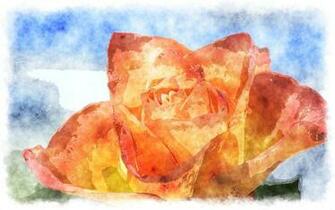Rose Watercolor Desktop Wallpaper Watercolour Art Photo