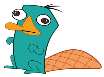 Perry The Platypus Wallpaper